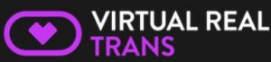 logo virtualRealTrans