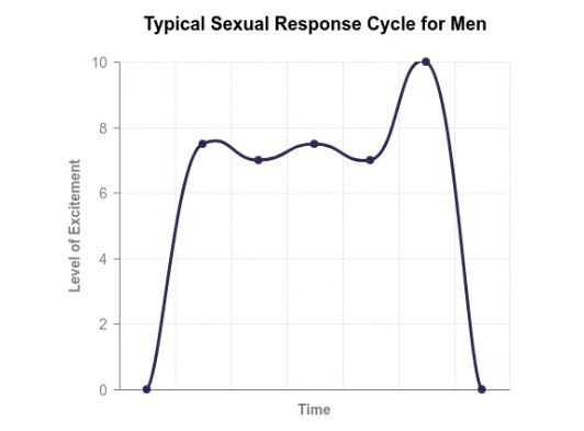 graphique exitation sexuelle temps homme
